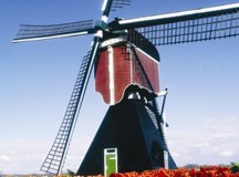 Berlitz Dutch Phrase Book