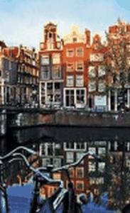 Cover Image of Lonely Planet Amsterdam Encounter