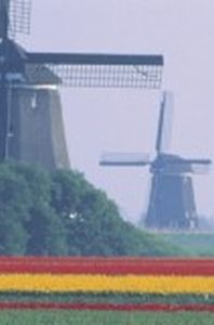 Cover Image of Culture Smart! Netherlands